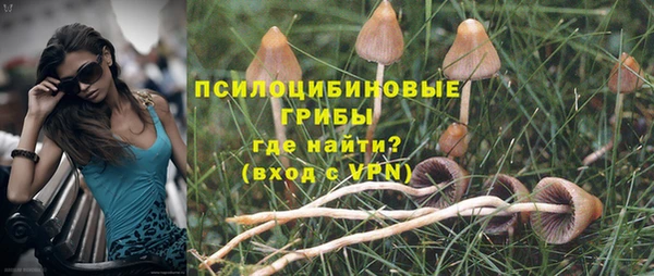 spice Арсеньев