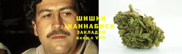 MESCALINE Аркадак