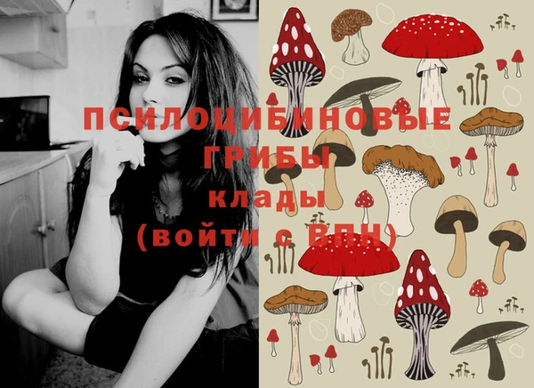 spice Арсеньев
