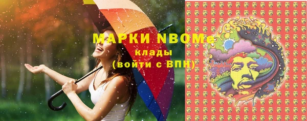 индика Армянск