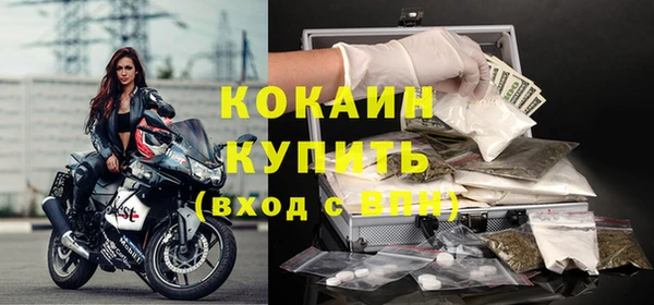индика Армянск
