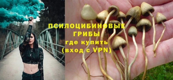 spice Арсеньев