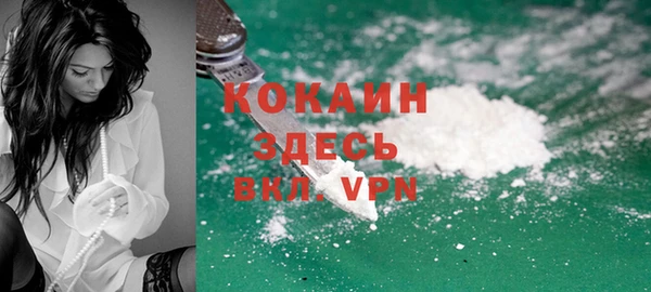 индика Армянск