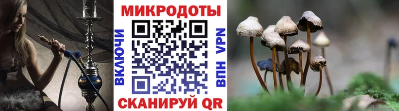 наркота  Сорочинск  Галлюциногенные грибы Psilocybine cubensis 